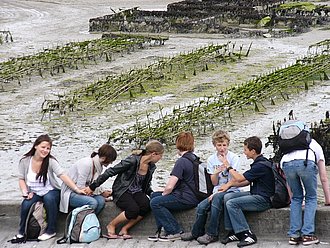 Austernbänke in Cancale
